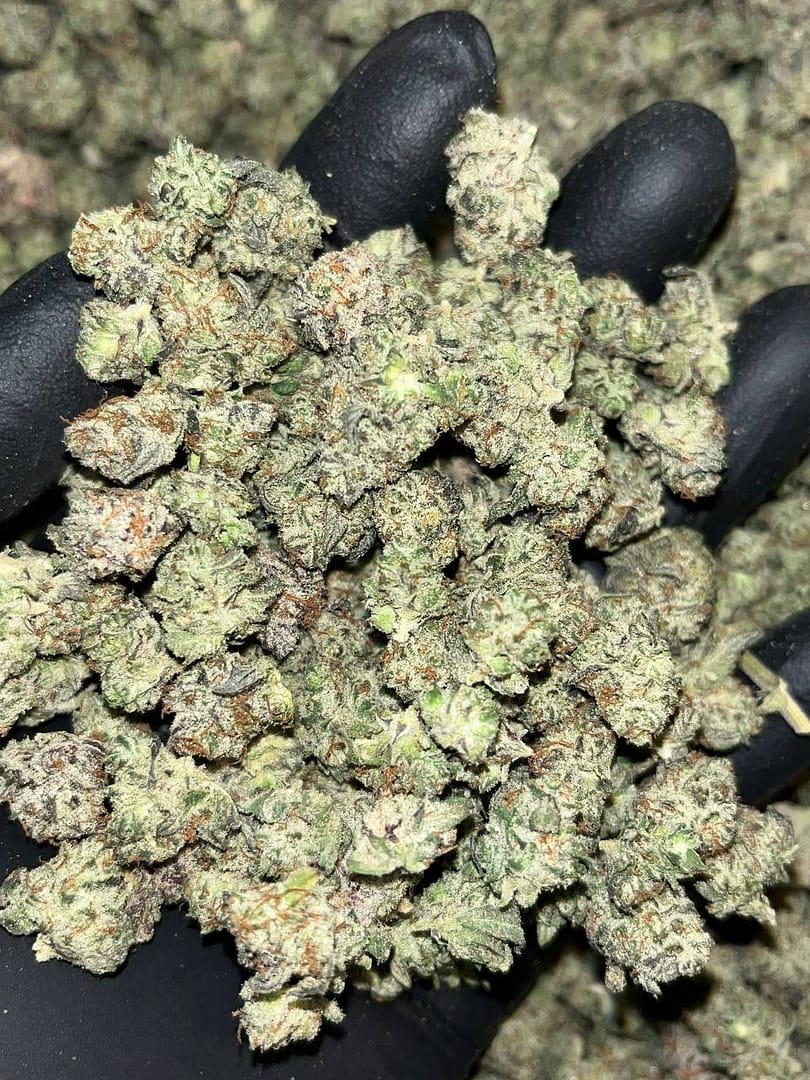 Oreoz smalls THCA Exotics