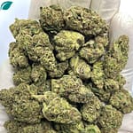 Elektra Ice THCA Flower