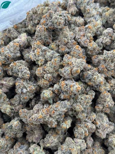 Green Crack HHC Flower Wholesale - Bulk HHC Buds - High-Quality Cannabis