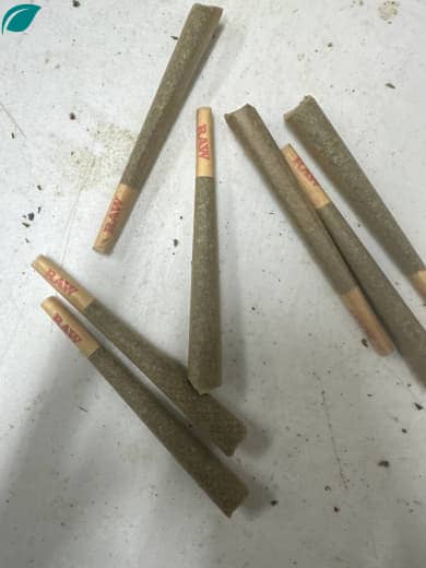 1 Gram THCa Prerolls - Pre-Rolled for a Convenient and Potent Cannabis Experience
