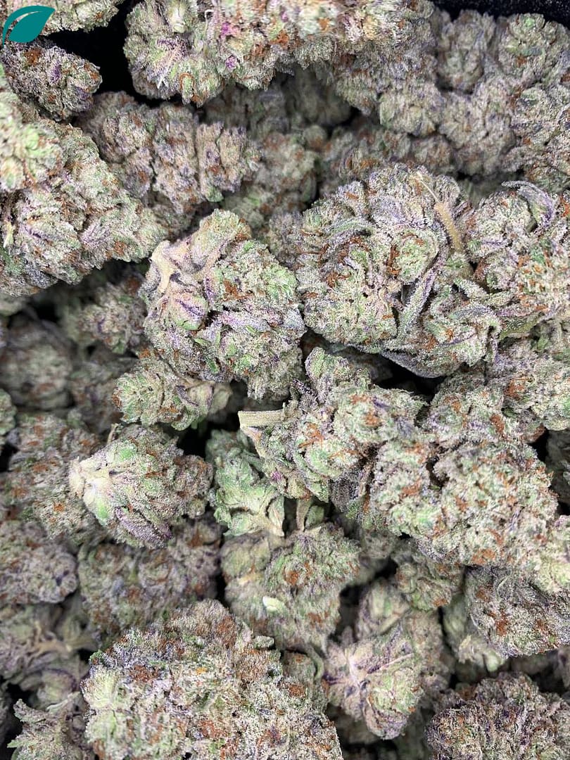 Oreoz THCA exotics