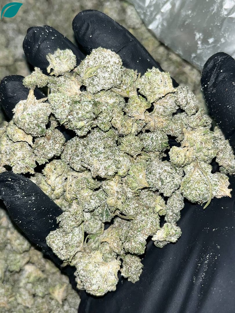 Snocaps Smalls THCA