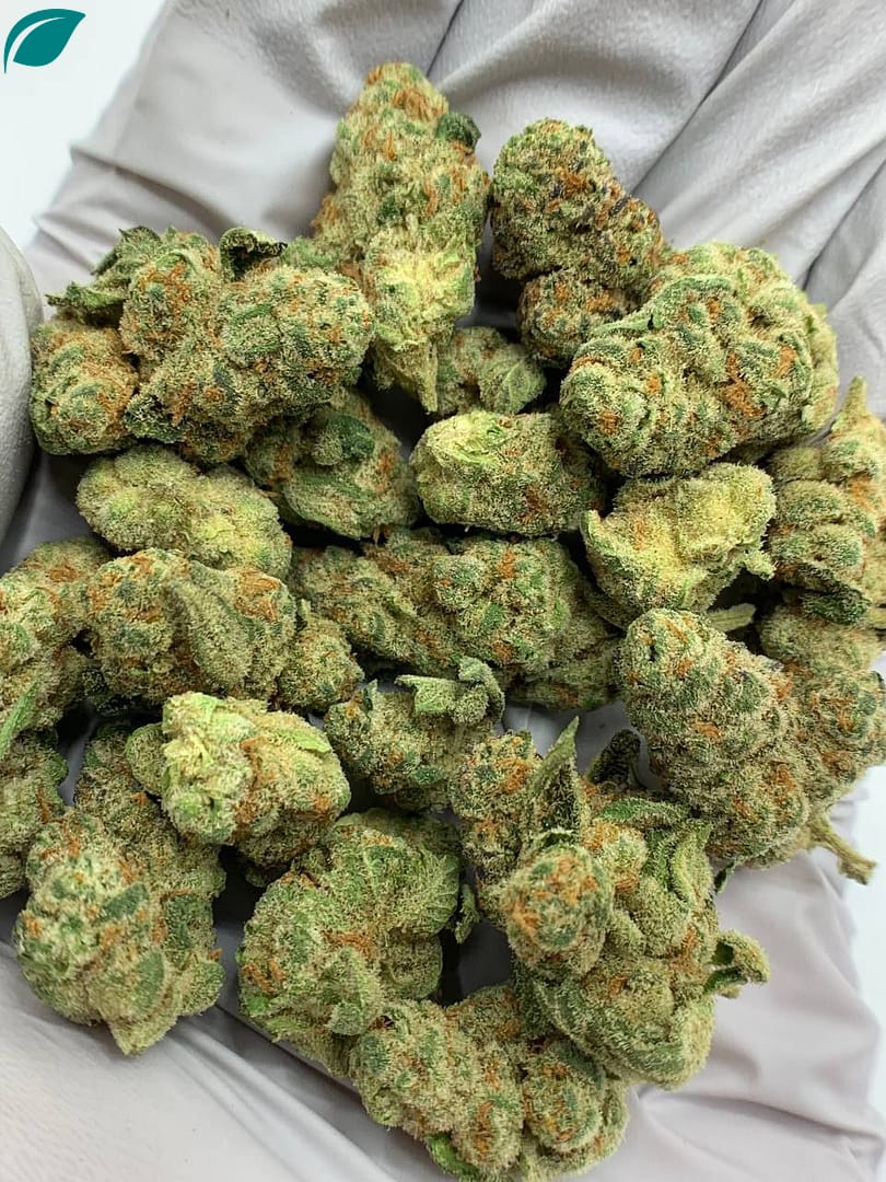 Glitter Bomb Exotic THCa Flower Wholesale
