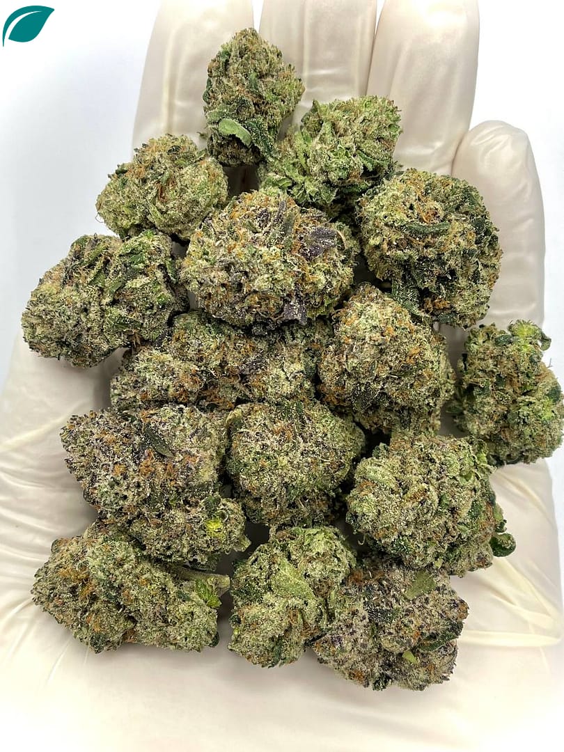 Razzmatazz Runtz THCA Flower - Sweet Berry-Flavored Hybrid Cannabis