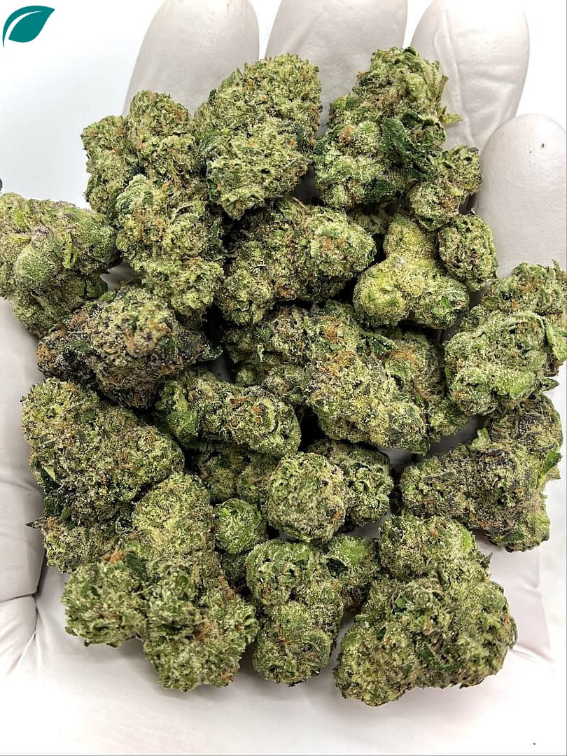 Bulk Spooky Runtz THCA Flower with over 30% THCA, compliant THC content for wholesale