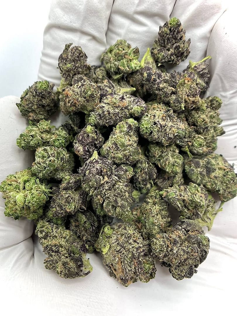 Grape Gelato THCA Flower 1 Grape Gelato THCA Flower