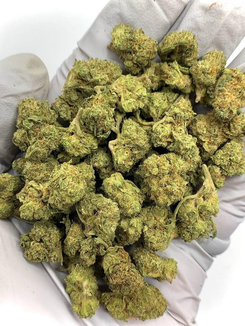Apple Tartz THCa Flower 1 Apple Tartz THCa Flower