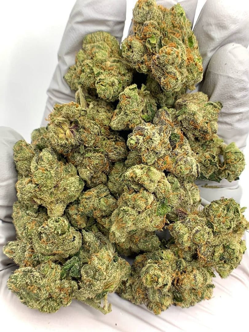 Bolo Runtz Exotic THCa Flower