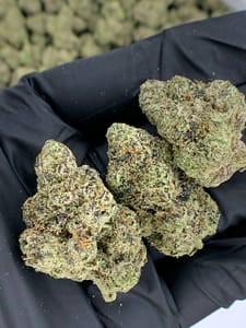 Bubble Gum Runtz THCa