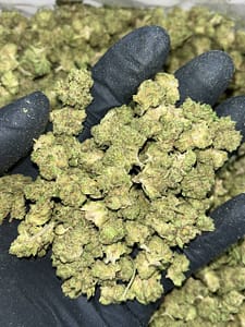 Apple Fritter Smalls