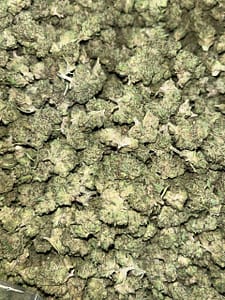 Apple Fritter Smalls THCA