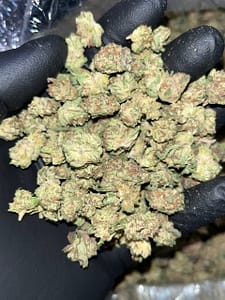 Unleash Intensity with Platinum Punch Smalls THCA Strain | High THC Indica