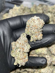 "Experience Opulence with Slurricane THCA EXOTICS: Unique Lineage & 25-30% THC"