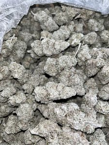 THCA SNOCAPS for sale