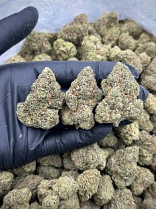 Chi Town Runtz THCA Flower