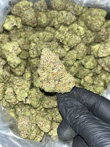 Larry Bird Exotic THCA