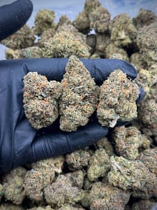 Purple Ice Pops THCA Strain