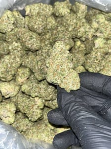 Wedding Cake Exotic THCA