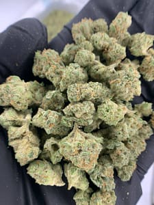 Fiji Mintz THCa Flower - Closeup of High-THCa Cannabis Buds