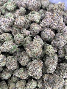 Lemon Cherry Gelato THCa