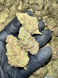 Violet Fog Exotic THCa Flower in bulk