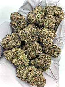 Archive Runtz Exotic THCa Flower with dense, frosty buds and a sweet, fruity aroma