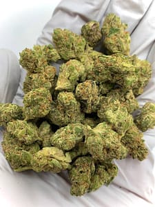 Astro Candy Exotic THCa Flower with vibrant buds and sweet, fruity aroma