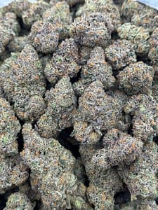 Bulk Blue Dream HHC Flower - Wholesale HHC Buds - High-Quality Cannabis