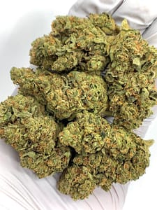 ChemDawg THCa Flower (Chemdog) for Bulk Wholesale Purchase