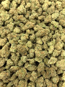 Close-up of Honey Buns Exotic THCa Flower, highlighting the strain's unique characteristics and trichome structure