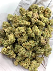 Gary Payton THCa Flower buds on a white background, showcasing dense, frosty nugs with a sweet, earthy aroma