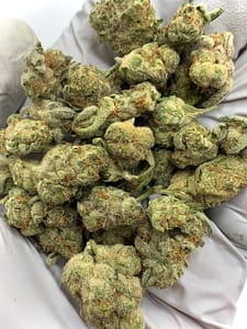 Grapes and Cream THCa Flower buds on a white background, showcasing dense, purple-hued nugs with a sweet, fruity aroma