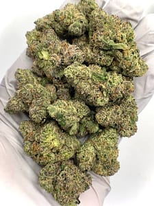 Pink Gummy Exotic THCa Flower with vibrant buds and sweet, fruity aroma