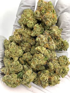 Wholesale Bolo Runtz Exotic THCa Hemp Flower - Bulk THCa Flower