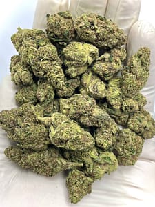 Elektra Ice THCA Flower - Frosty Hybrid Cannabis Strain for Wholesale Buyers