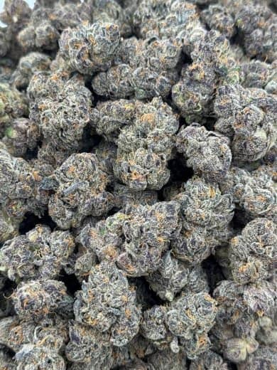 Wholesale Sour Diesel HHC Flower - Bulk HHC Buds for Sale - High-Quality Cannabis