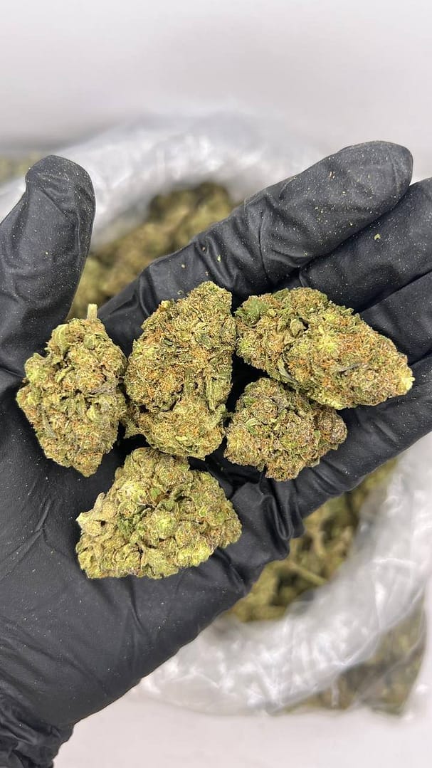 Buy High Octane THCa Flower in bulk and offer your customers a high-powered flavor experience. 29.5% THCa,