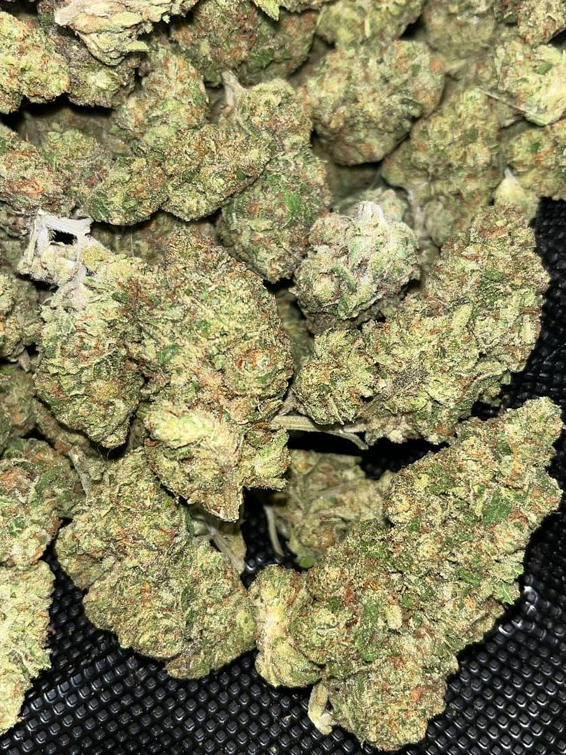 Jealousy Indoor THCA