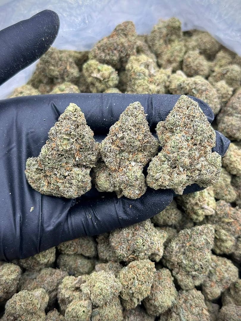 Chi Town Runtz THCA Flower