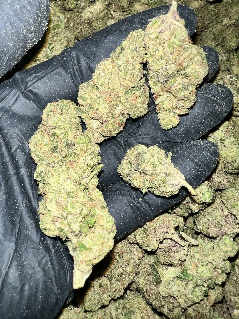 Donny Burger THCA Flower Bulk Wholesale