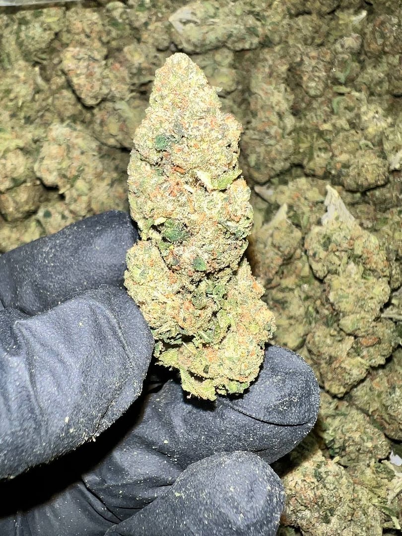 High-quality image of Astro Runtz THCA Flower