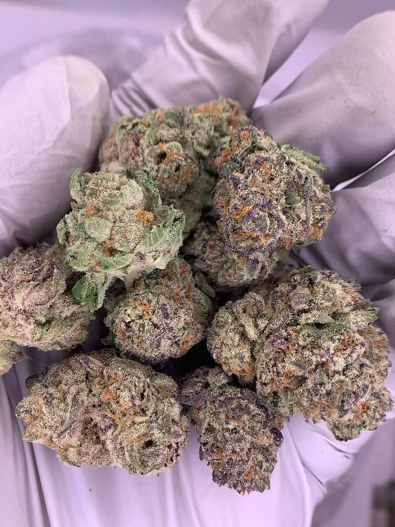 Purple Punch Exotic THCa Flower