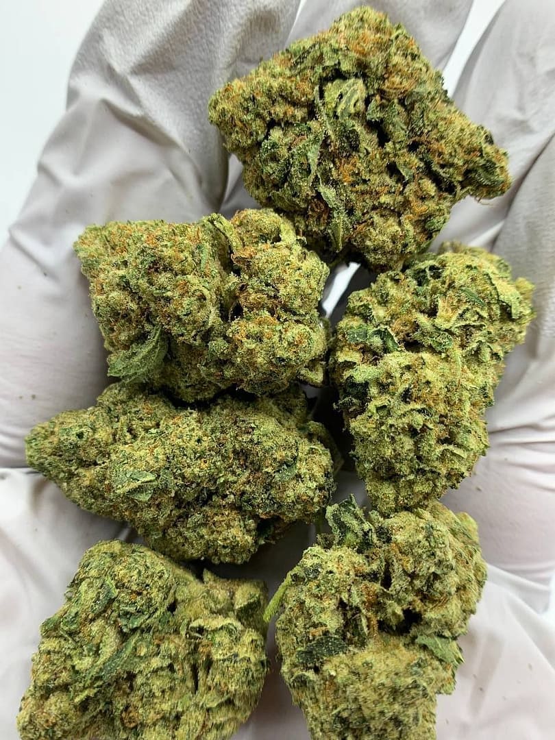 Close-up of Grandi Guava THCa Flower, highlighting the strain's unique characteristics and trichome structure