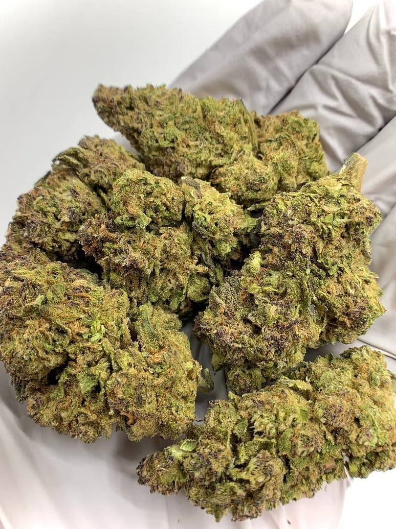 Close-up of Gushers THCa Flower, highlighting the strain's unique characteristics and trichome structure