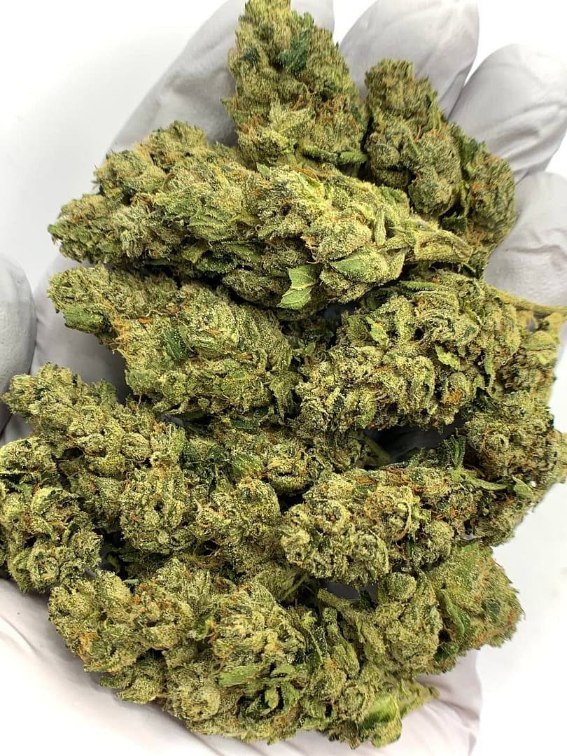 Fire OG THCa Flower for Bulk Wholesale