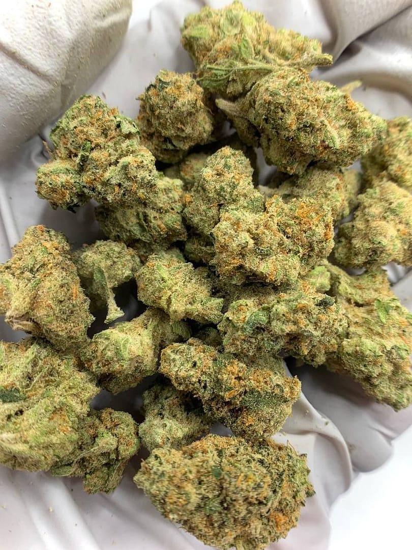 Honey Buns Exotic THCa Flower buds on a white background, showcasing dense, frosty nugs with a sweet aroma