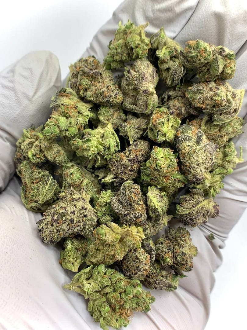 Platinum Lemon Gushers THCa Flower with vibrant citrus aroma and resin-covered buds