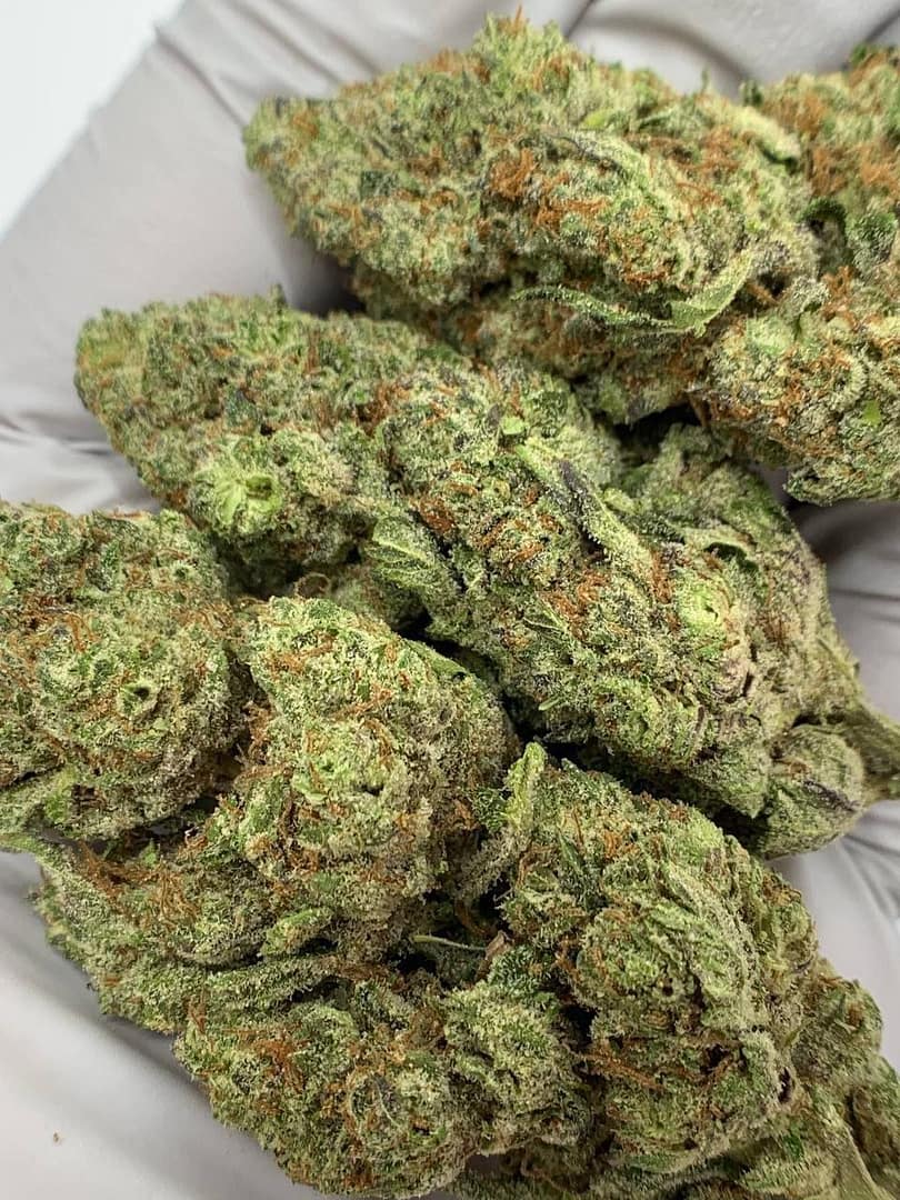 Piff Mintz THCa Flower, premium bulk hemp flower, high THCa content, minty flavor, wholesale hemp