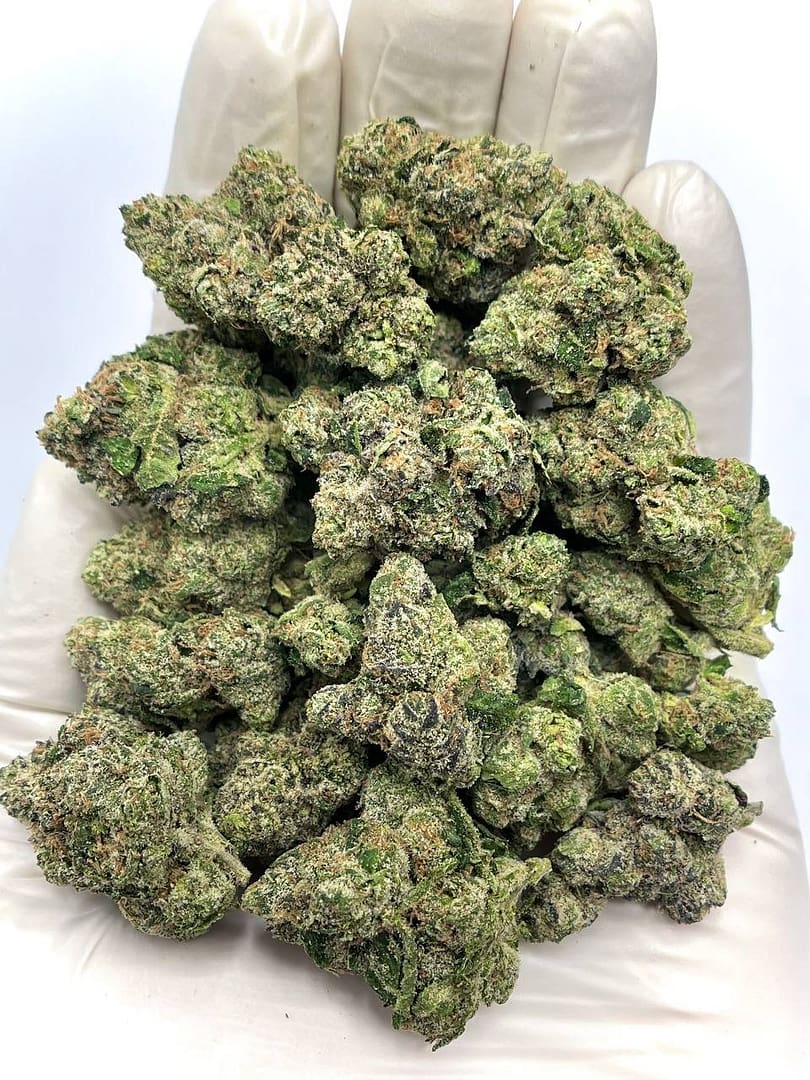 White Cherry Blaster THCA Flower - Sweet Cherry Hybrid for Wholesale Buyers