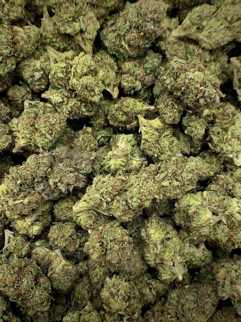 Rainbow Sherbet THCa Flower 2 Close-up of Rainbow Sherbet THCa Flower, highlighting the strain's unique characteristics and trichome structure
